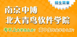 南京中博中博教育软件学院